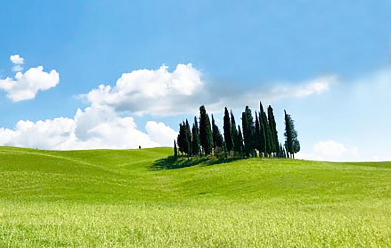Ferienwohnung La Casa Nel Poggio 247 Vicino A Siena Ponte a Tressa Exterior foto